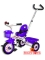 Велосипед 3-колесный Star Trike КТ-084(3) сиреневый 30925