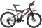 Велосипед горный Круиз 641 Disc (26 дюймов, 21-скорость, Shimano Altus, дисковый тормоз)