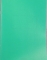 Тетрадь 80 листов клетка А4. ХАТБЕР офсет пластиковая обложка Зеленая