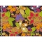 Альбом для рисования 40 листов ЭКСМО на гребне мелованный картон обложка с тиснением фольгинированный Яркие цветы