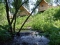 Аренда утепленного домика у ручья (Горный Алтай, Чемальский район)