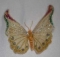 Магнит бабочка (Д-734)
