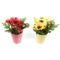 Композиция цветочная "Маки " в керамическом горшочке h15см 3 цвета