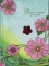 Книжка записная в твердой обложке ИДП А6. 80 листов в линейку ламинированная стразы Яркие цветы