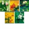 Тетрадь 96 листов клетка ЭКСМО офсет карточка ламинированная Красивые Цветы ассорти